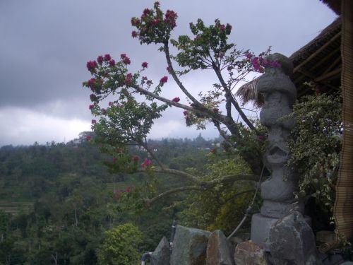 Fotografia de Mar Vidal - Galeria Fotografica: INDONESIA - Foto: SIN TITULO 05