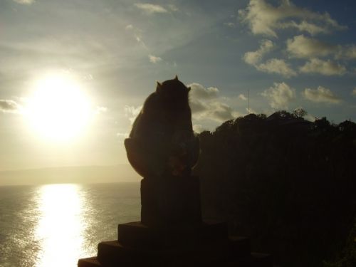 Fotografia de Mar Vidal - Galeria Fotografica: INDONESIA - Foto: SIN TITULO 02