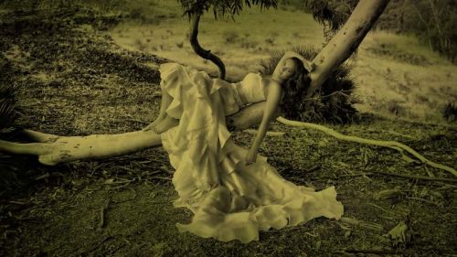 Fotografia de Torres Fotografos - Galeria Fotografica: Bodas 2 - Foto: 