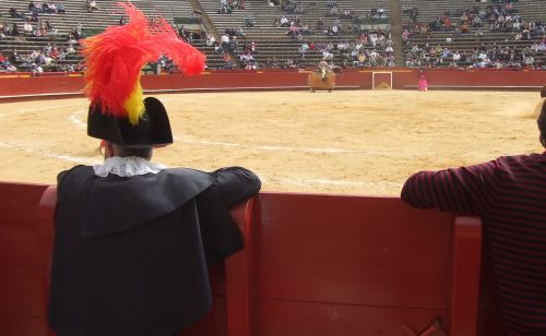 Fotografia de lekeleke - Galeria Fotografica: variadas - Foto: alguacil