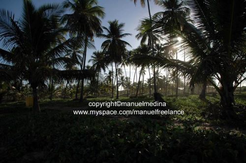 Fotografia de MMedina - Galeria Fotografica: Viajes - Foto: 