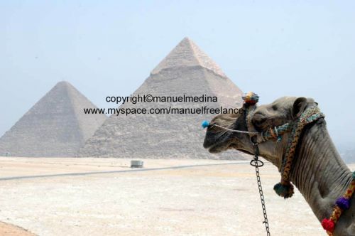 Fotografia de MMedina - Galeria Fotografica: Viajes - Foto: 