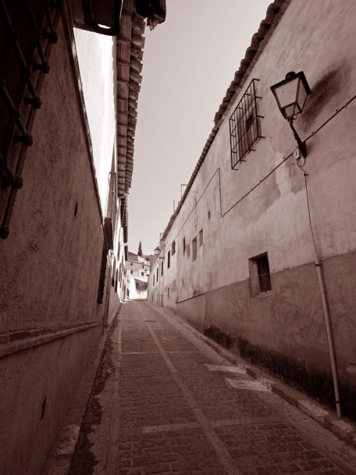 Fotografia de MANUEL CAZORLA - Galeria Fotografica: Chinchn - Foto: 