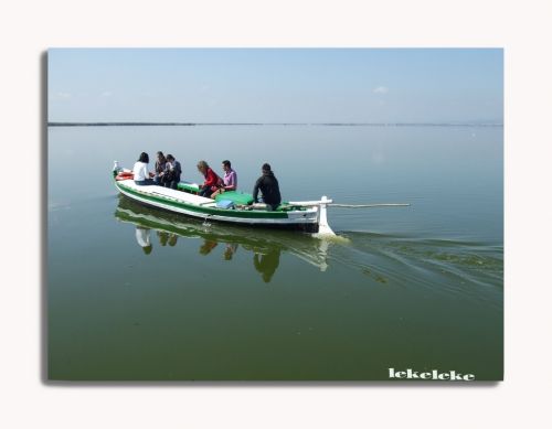 Fotografia de lekeleke - Galeria Fotografica: variadas - Foto: Viaje por la Albufera