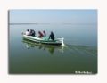 Fotos de lekeleke -  Foto: variadas - Viaje por la Albufera