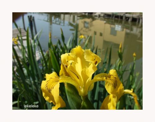 Fotografia de lekeleke - Galeria Fotografica: variadas - Foto: reflejos en el canal
