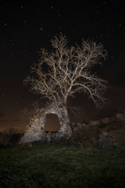 Fotografia de Dito - Galeria Fotografica: Nocturnas - Foto: 