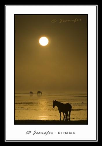 Fotografia de Jesnofer - Galeria Fotografica: Muestrario - Foto: 