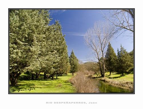 Fotografia de Jesnofer - Galeria Fotografica: Muestrario - Foto: 