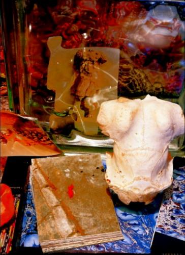 Fotografia de TIMOTHY MENDELSOHN - Galeria Fotografica: TIMOTHY MENDELSOHN - Foto: CAPUT MUNDI -1992