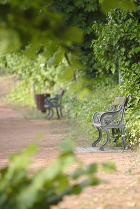 Fotografia de RODISCLA FOTO S.L. - Galeria Fotografica: ESTUDIO D.F. (defotos) 669 22 32 31 - Foto: 
