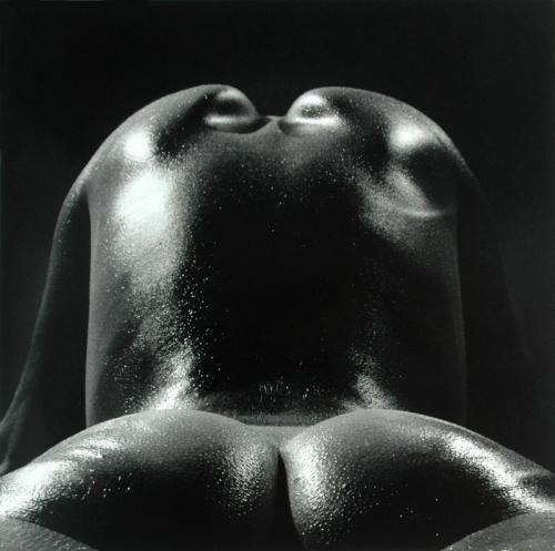 Fotografia de Curro Petit - Galeria Fotografica: desnudos sin ms - Foto: 