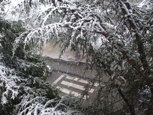 Fotografia de Tere - Galeria Fotografica: INVIERNO EN EL PIRINEO ARAGON�S - Foto: Invierno