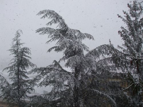 Fotografia de Tere - Galeria Fotografica: INVIERNO EN EL PIRINEO ARAGON�S - Foto: avda Oroel