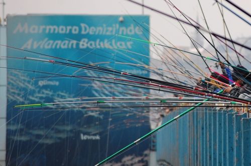 Fotografia de billy shears - Galeria Fotografica: en el momento exacto - Foto: 