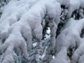Fotos de Tere -  Foto: TEMPORAL TODAVA MS INTENSO EN EL PIRINEO ARAGONS - Ao de nieve , ao de bienes