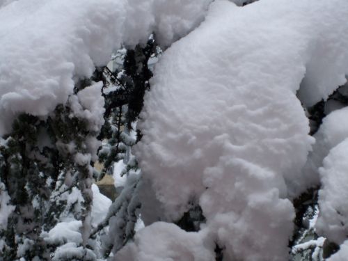 Fotografia de Tere - Galeria Fotografica: TEMPORAL TODAVA MS INTENSO EN EL PIRINEO ARAGONS - Foto: Ano de nieve , ano de bienes