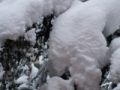 Fotos de Tere -  Foto: TEMPORAL TODAVA MS INTENSO EN EL PIRINEO ARAGONS - Ano de nieve , ano de bienes