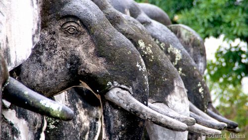 Fotografia de fotoproduccions - Galeria Fotografica: Thailand - Foto: 