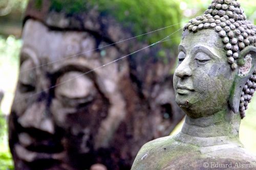 Fotografia de fotoproduccions - Galeria Fotografica: Thailand - Foto: 