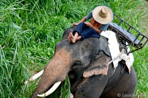 Fotografia de fotoproduccions - Galeria Fotografica: Thailand - Foto: 