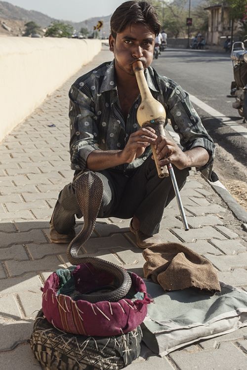 Fotografia de josemanuelalfaro.es - Galeria Fotografica: India - Foto: 