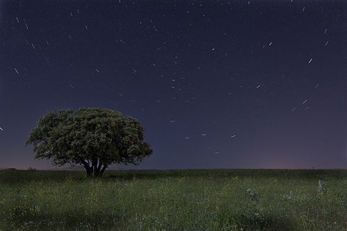 Fotografia de josemanuelalfaro.es - Galeria Fotografica: Paisaje - Foto: 