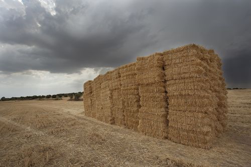 Fotografia de josemanuelalfaro.es - Galeria Fotografica: Paisaje - Foto: 