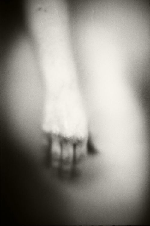 Fotografia de Betsabe Donoso - Galeria Fotografica: Blanco y negro tradicional - Foto: 