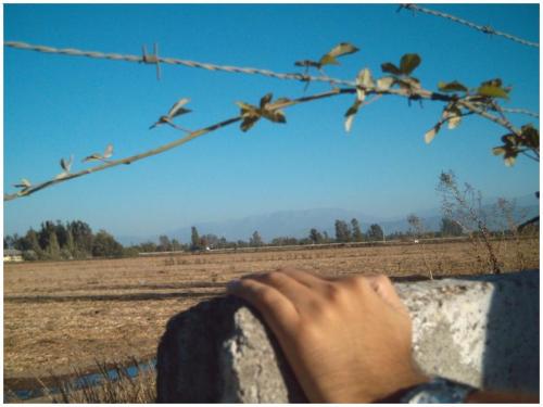 Fotografia de Sr. Fotografo - Galeria Fotografica: Mi Trabajo - Foto: Anhelando...