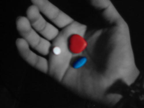 Fotografia de Sr. Fotografo - Galeria Fotografica: Mi Trabajo - Foto: Pick one...