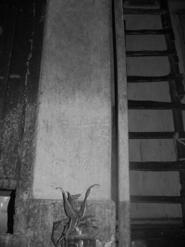 Fotografia de Dennis Pastor - Galeria Fotografica: Spleen - Foto: Tu Luz