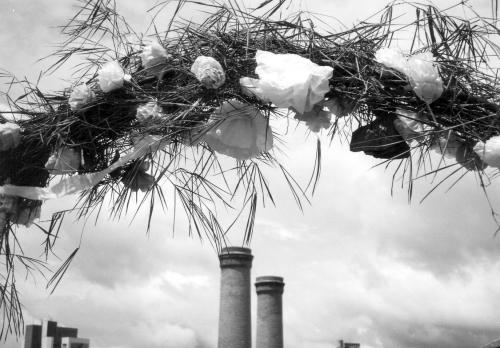 Fotografia de Paulo Rezende - Galeria Fotografica: Entre o Cu e a Terra - Foto: Folia de Reis - Uberaba-Brasil