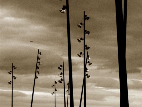 Fotografia de Ddalus - Galeria Fotografica: Urbanitas - Foto: 