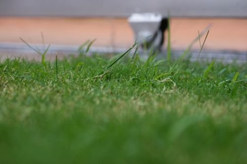 Fotografia de CENC88 - Galeria Fotografica: Mis primeros pasos... - Foto: 