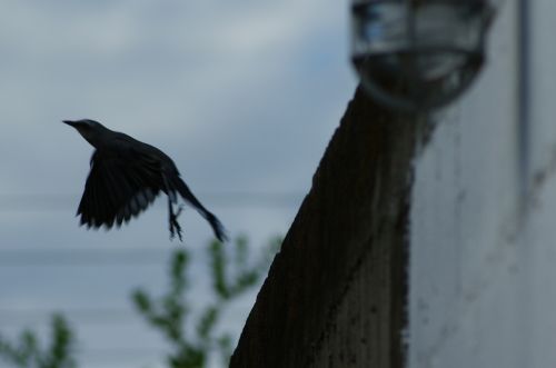 Fotografia de CENC88 - Galeria Fotografica: Mis primeros pasos... - Foto: 