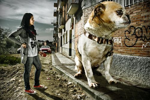 Fotografia de Daniel - Galeria Fotografica: Retrato - Foto: 