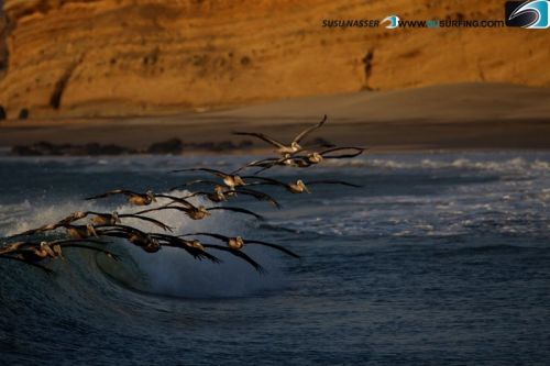 Fotografia de Nasser Photography - Galeria Fotografica: Tabla (Surf) - Foto: 