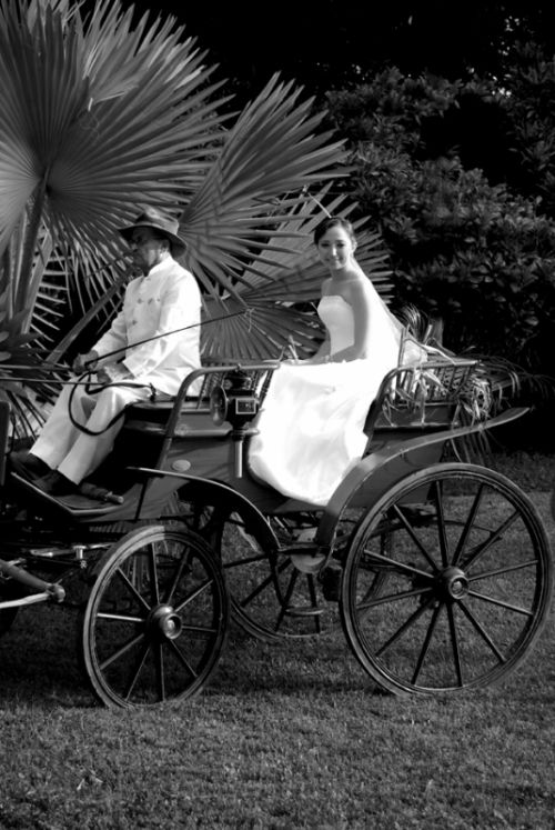 Fotografia de Charles Phelan - Galeria Fotografica: Bodas - Foto: 