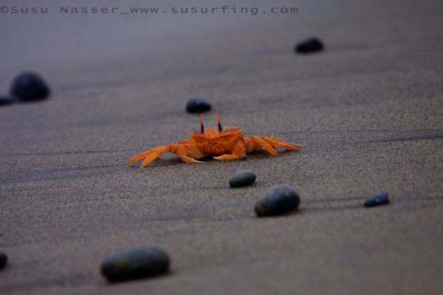 Fotografia de Nasser Photography - Galeria Fotografica: Tabla (Surf) - Foto: 