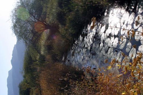 Fotografia de Medios, Produccion de Comunicacion S.A. de C.V. - Galeria Fotografica: por m�xico - Foto: cuatro ci�negas