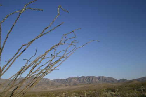 Fotografia de Medios, Produccion de Comunicacion S.A. de C.V. - Galeria Fotografica: por m�xico - Foto: desierto coahuila