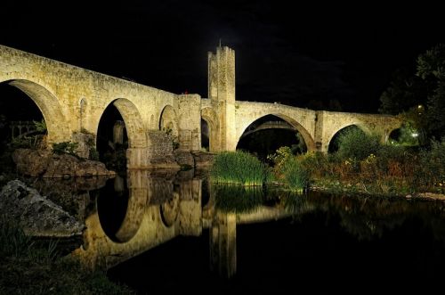 Fotografia de FRAN - Galeria Fotografica: Naturaleza en libertad - Foto: 