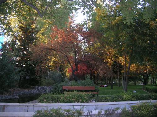 Fotografia de Muliere - Galeria Fotografica: MuLiErE - Foto: 