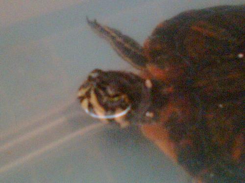 Fotografia de Muliere - Galeria Fotografica: MuLiErE - Foto: 