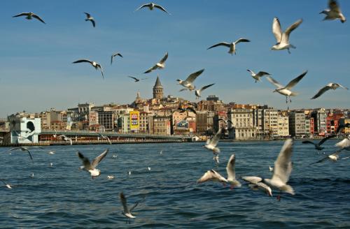 Fotografia de elena senao - Galeria Fotografica: ESTAMBUL - Foto: Eminonu