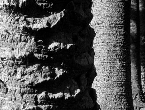 Fotografia de Alex Garcia Ruiz - Galeria Fotografica: Rayuela - Foto: 