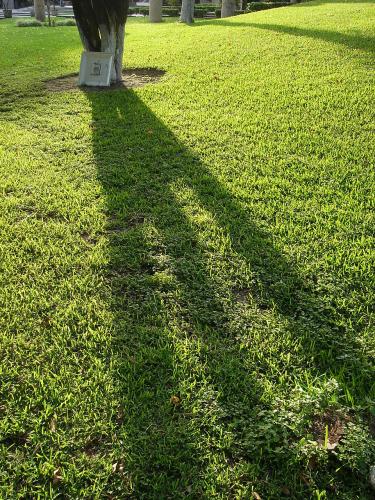 Fotografia de Beep-Art - Galeria Fotografica: La beep-gal - Foto: verd