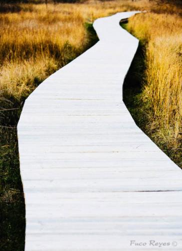 Fotografia de Fuco Reyes Fotografa - Galeria Fotografica: Tiempo cero en Ortigueira - Foto: camino del resplandor