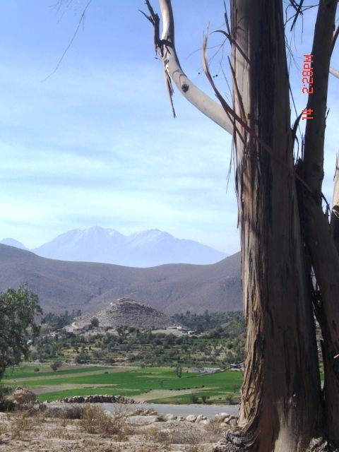 Fotografia de heriberto - Galeria Fotografica: Arequipa, Tierra y Hombre - Foto: Mosopuquio